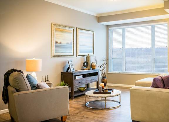 Living Area Interior at Victoria Park and V2 Apartments, St. Paul, MN