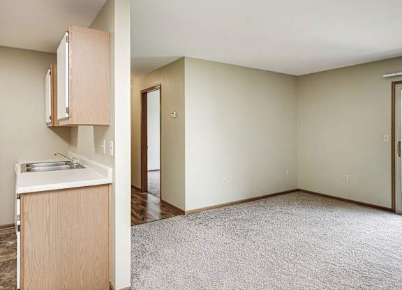 A kitchen area with a sink and a cabinet.