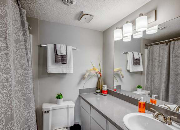 A bathroom with a white toilet, sink, and a mirror at The Waverly on the Lake - Belleville, MI Apartment , Belleville, 48111