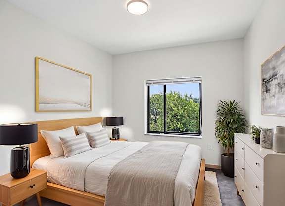 A bedroom with a large bed, a nightstand with a lamp, and a dresser with a plant on top.