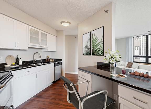 Kitchen at Galtier Towers Apartments, St. Paul, MN, 55101