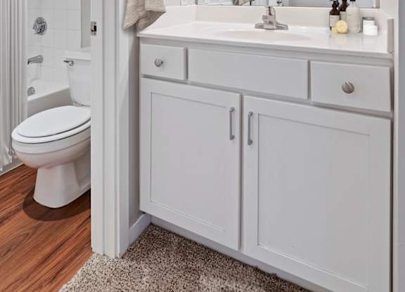 Bathroom at Galtier Towers Apartments, St. Paul, MN