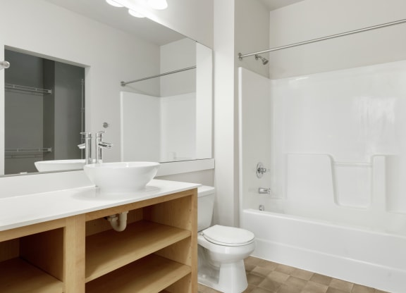 Large Studio Bathroom at Lowertown Lofts, Minnesota, 55101