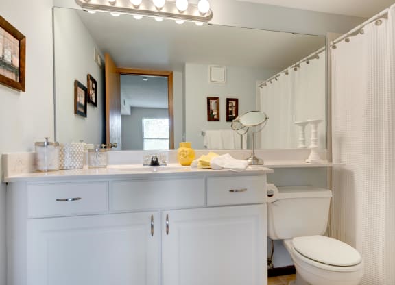 Bathroom With Vanity Lights at Mallard Ridge, Maple Grove