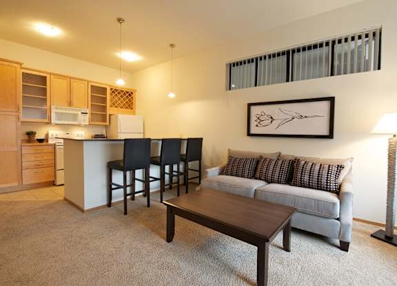 Living Area  at Mears Park Place, St. Paul, Minnesota