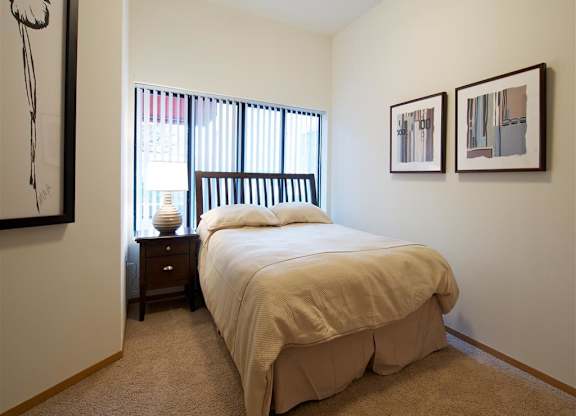 Mears Park Place Apartments in Saint Paul, MN Bedroom