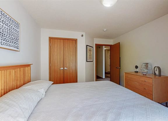 a bedroom with a large bed and a closet