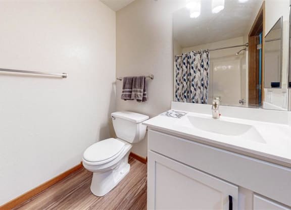 a bathroom with vanity, sink, mirror, and toilet