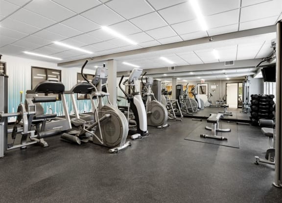 the gym is equipped with cardio equipment and weights
