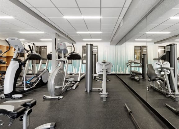 the gym is equipped with a variety of exercise equipment