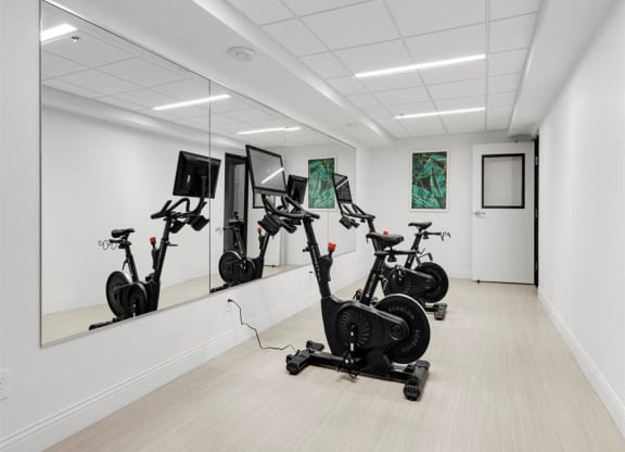 the gym is equipped with exercise bikes and mirrors