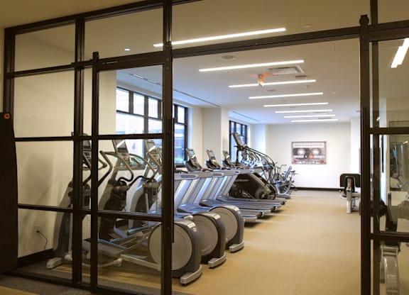 A gym with a row of treadmills and a row of stationary bikes.