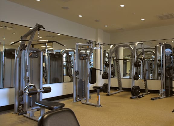 A gym with a variety of equipment including treadmills, weights, and exercise machines.