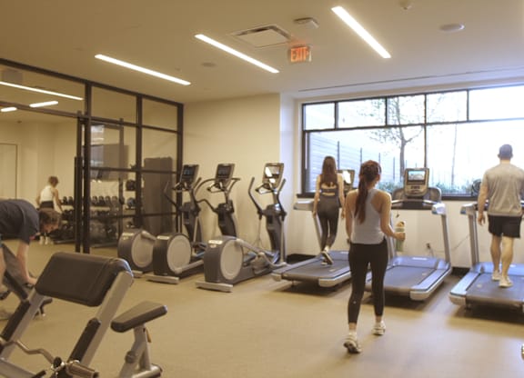 A group of people are exercising in a gym.