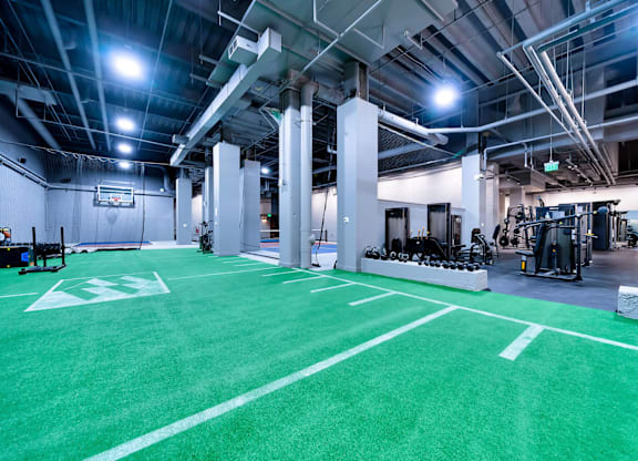 A gym with a green floor and white lines.