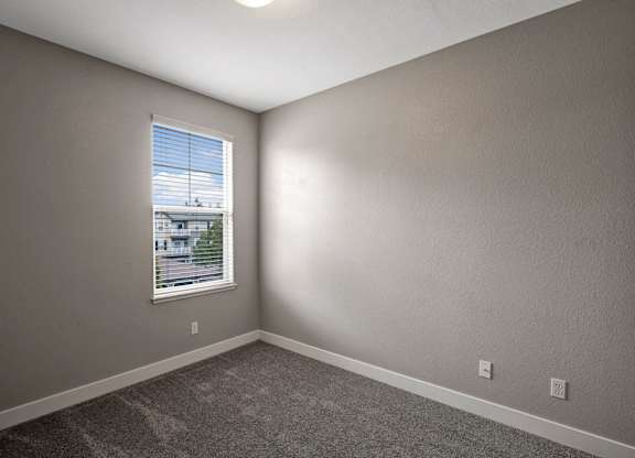 A room with a window and a grey carpet.