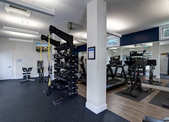 A gym with a variety of equipment including a rowing machine.