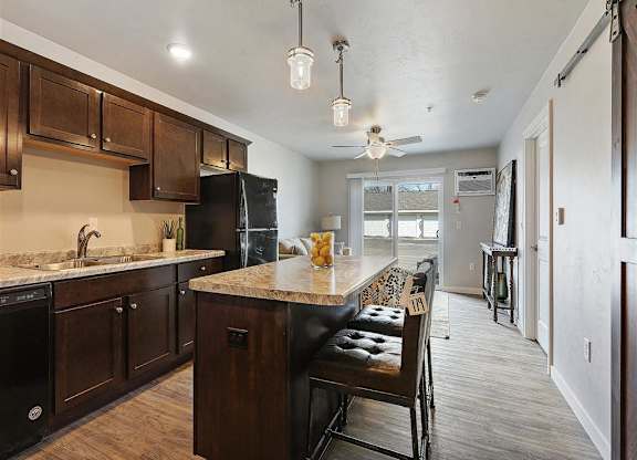 Open Concept Kitchen and Living