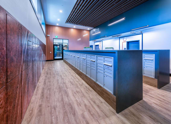 a long counter in a room with wood floors and blue walls