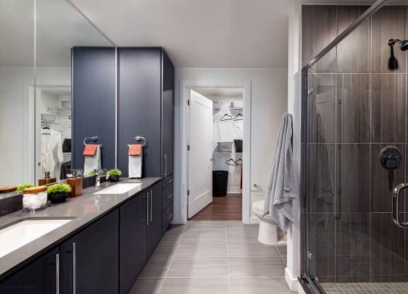 a bathroom with a shower and a counter with two sinks