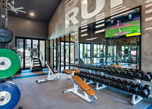 a gym with weights and a tv on the wall