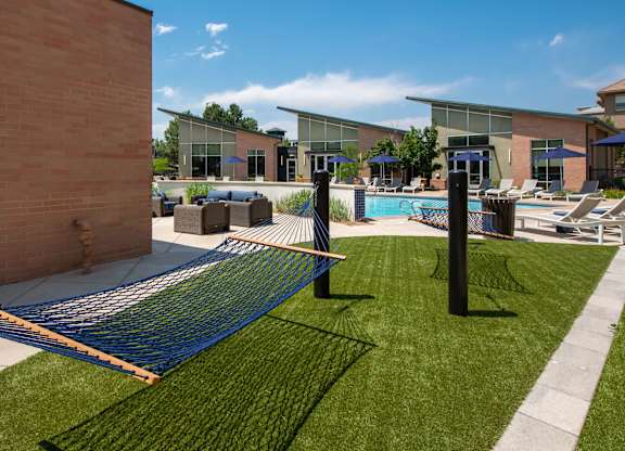 A blue and yellow volleyball net is set up on a green lawn.