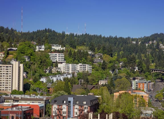 a city with trees and buildings on a hill