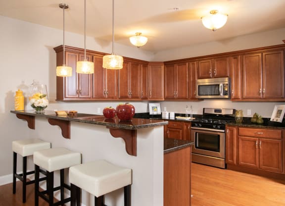 Gourmet Kitchens
