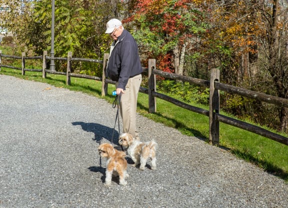Dog Friendly Community