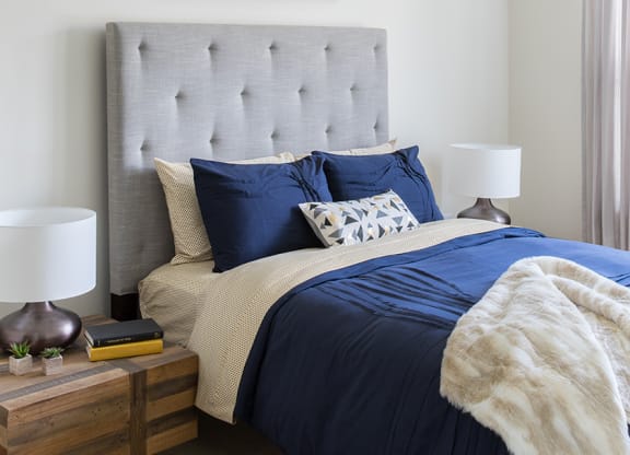 Gunbarrel Center  Light-Filled Rooms