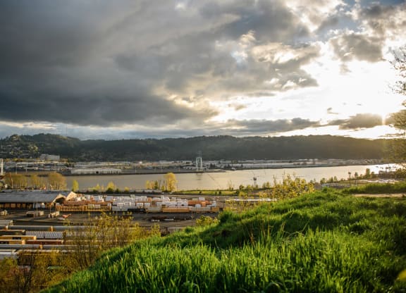 a view of a harbor with a river and a city in the background