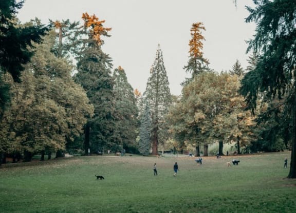 a group of people playing in a park