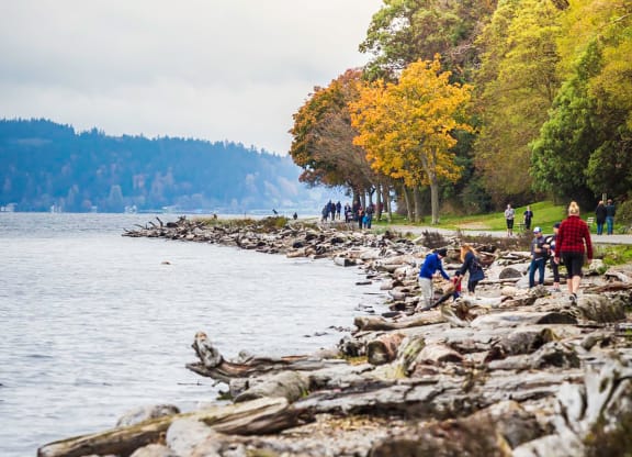 People Walking Along Rocky Shoreline