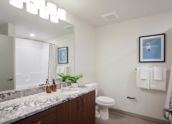 Tempo PDX Model Bathroom
