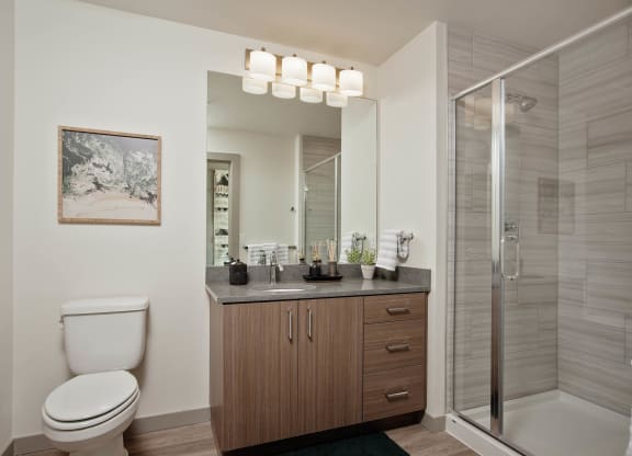 Tempo PDX Model Bathroom