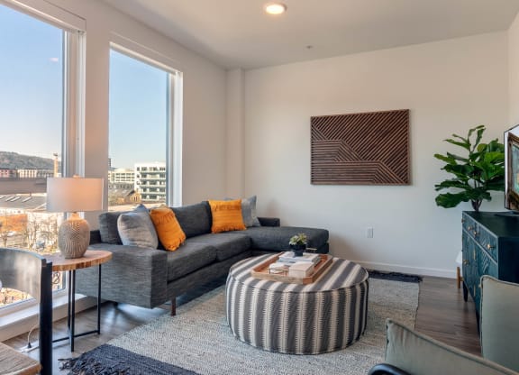 Large Windows