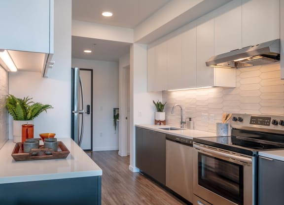 Stainless Steel Appliances