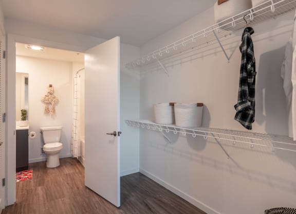 Large Walk-In Closets