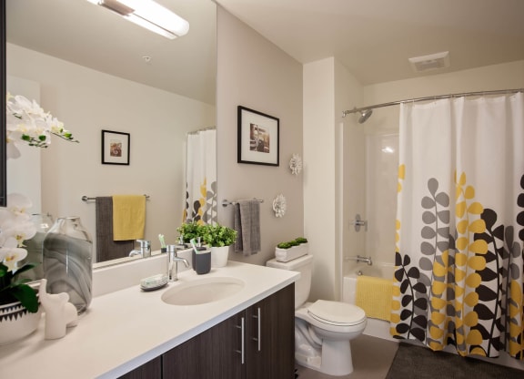 North Hollow Apartments Model Bathroom