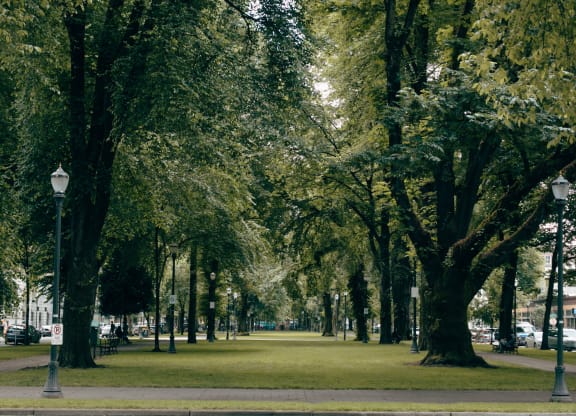 a park with green grass and trees and street lamps