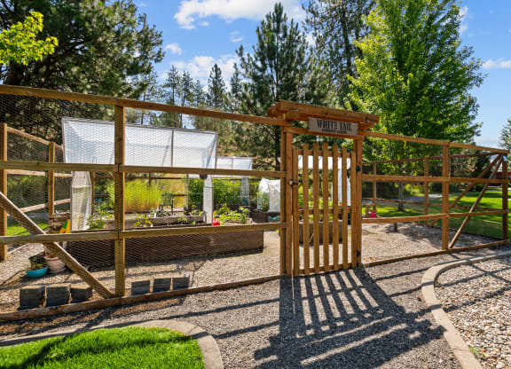 a backyard with a playground and a wooden gate