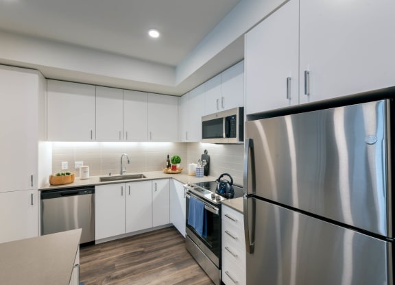 Stainless Steel Appliances