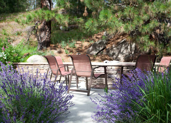 Pine Valley Ranch Apartments Outdoor Fire Pits