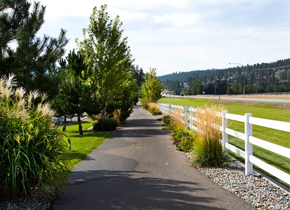 Pine Valley Ranch Apartments Trailhead and Hiking Paths