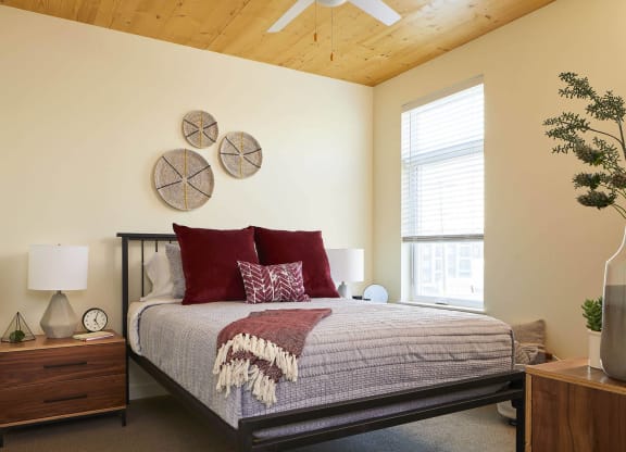 Spacious Rooms