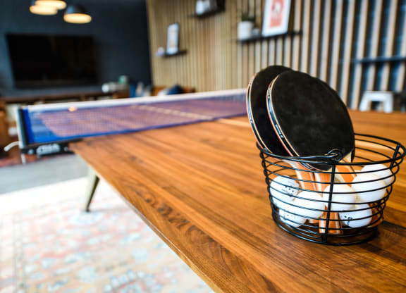 Welcome to the underbelly of ping-pong where fortunes are won and lost.
