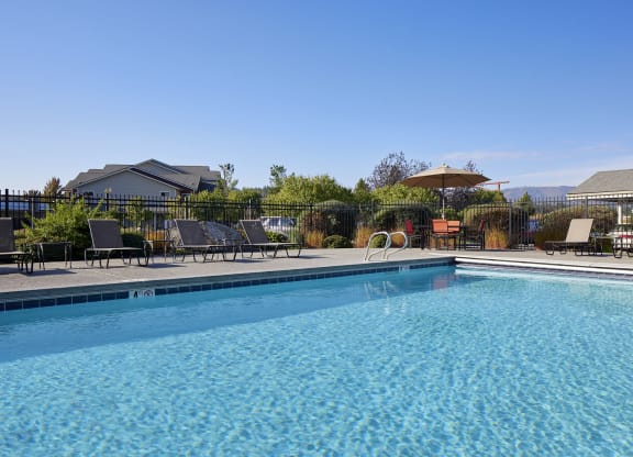Pool & Patio