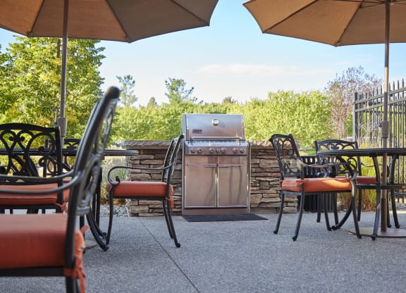 BBQ Grills