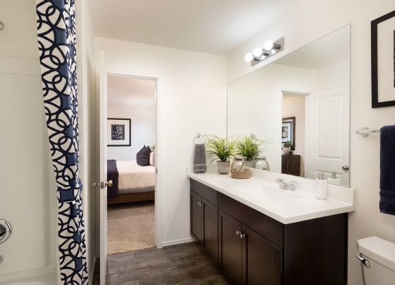 Modern Cabinets