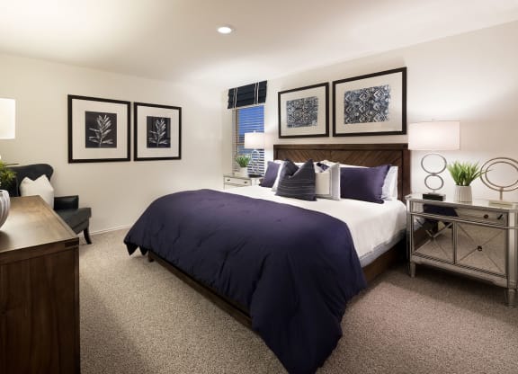 Large Bedrooms